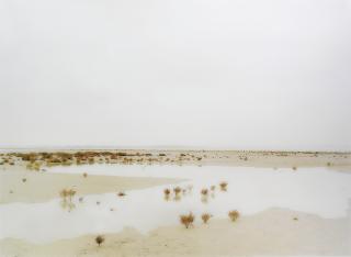 Elger Esser - Paludo San Giacomo, Italy