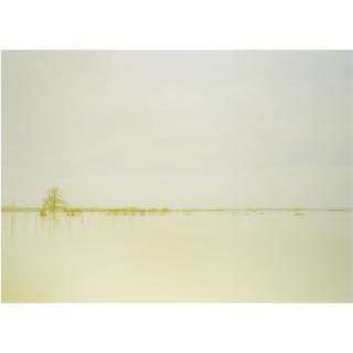 Elger Esser - Saone, France