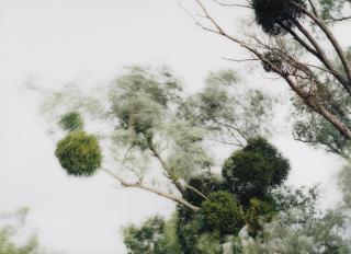 Elger Esser - Sully Ii, Frankreich