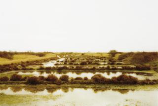 Elger Esser - Suzelle, Frankreich