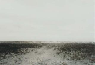 Elger Esser - Westhoek, Niederlande 2000