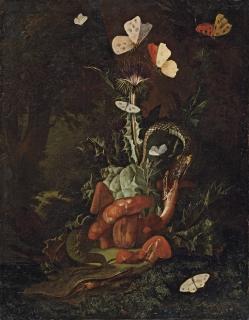 Elias van den Broeck - A Forest Floor Landscape With A Thistle, Funghi, Moths, A Lizard And Snakes
