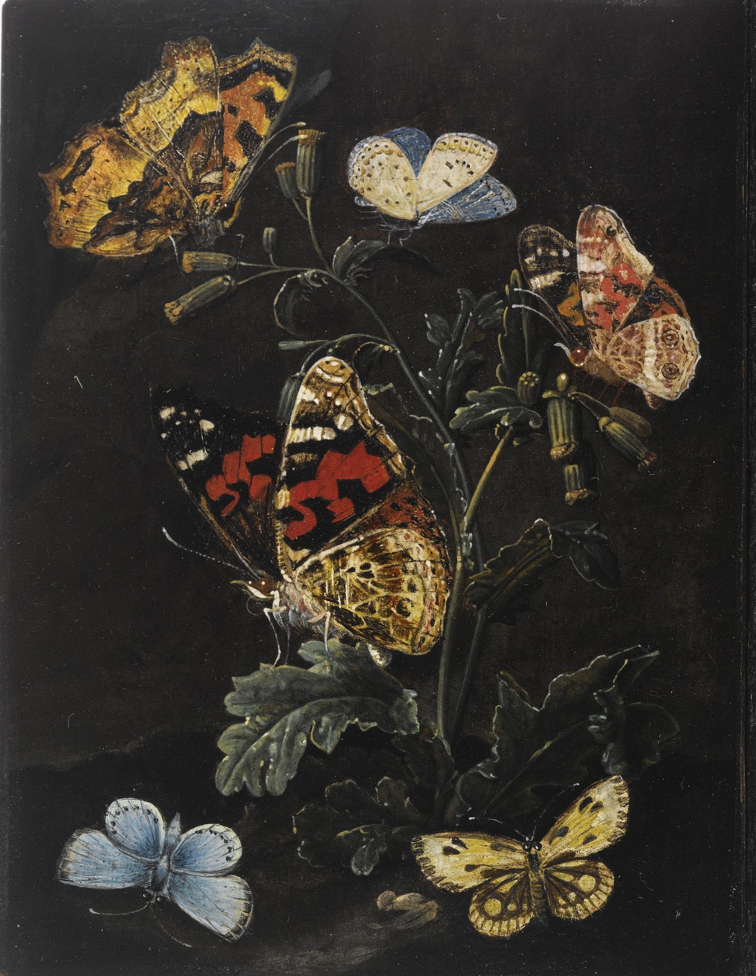 Elias Van Den Broeck - Forest Floor Still Life With Butterflies