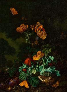 Elias Van Den Broeck - Waldbodenstillleben mit Schmetterlingen und Frosch.