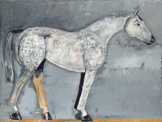 Elie Lambert - Grey thoroughbred