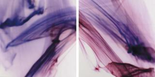 Elinor Milchan - Crossroads