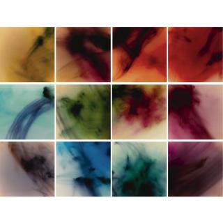 Elinor Milchan - Motion