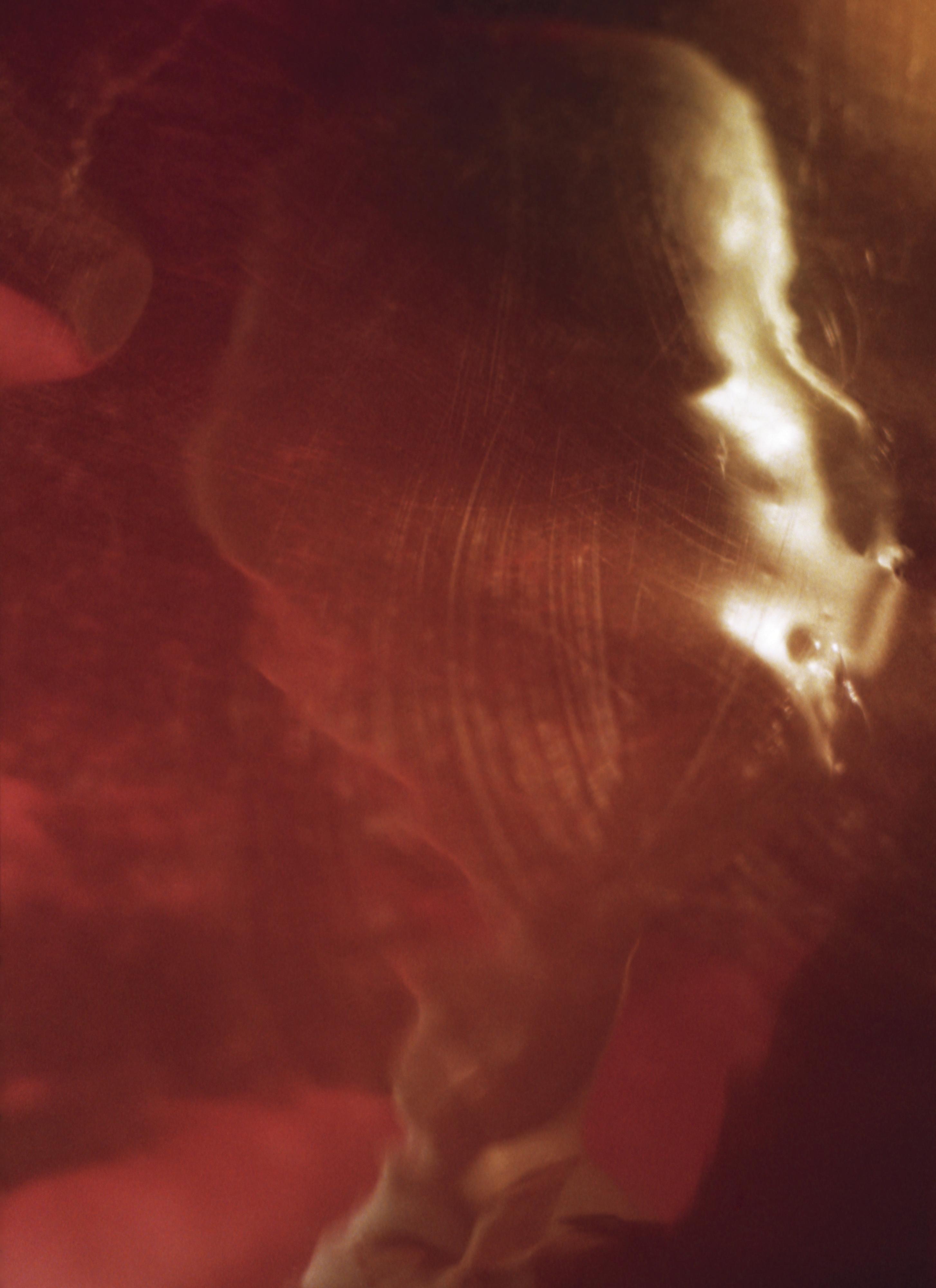 Elinor Milchan - Untitled #4 (From Portraits Of The Soul Series)