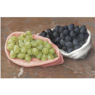 Eliot Hodgkin - Black And White Grapes