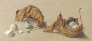 Eliot Hodgkin - Dead Leaves and Birds\' Eggs