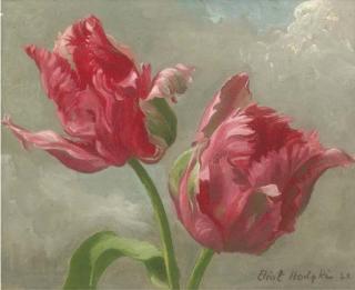 Eliot Hodgkin - Fantasy Tulips