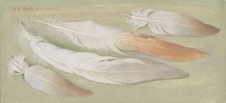 Eliot Hodgkin - Four Flamingo Feathers