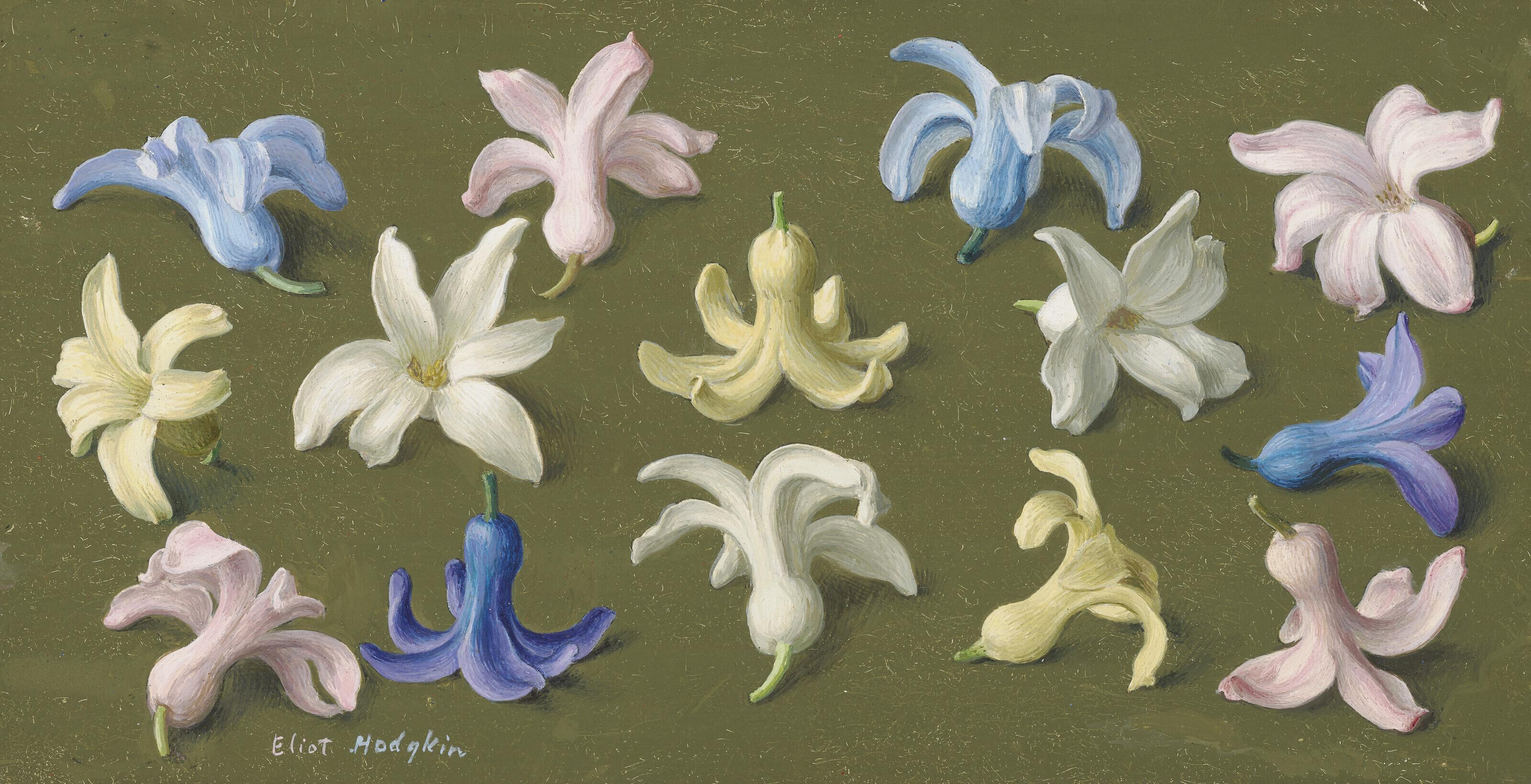 Eliot Hodgkin - Fourteen Hyacinth Heads