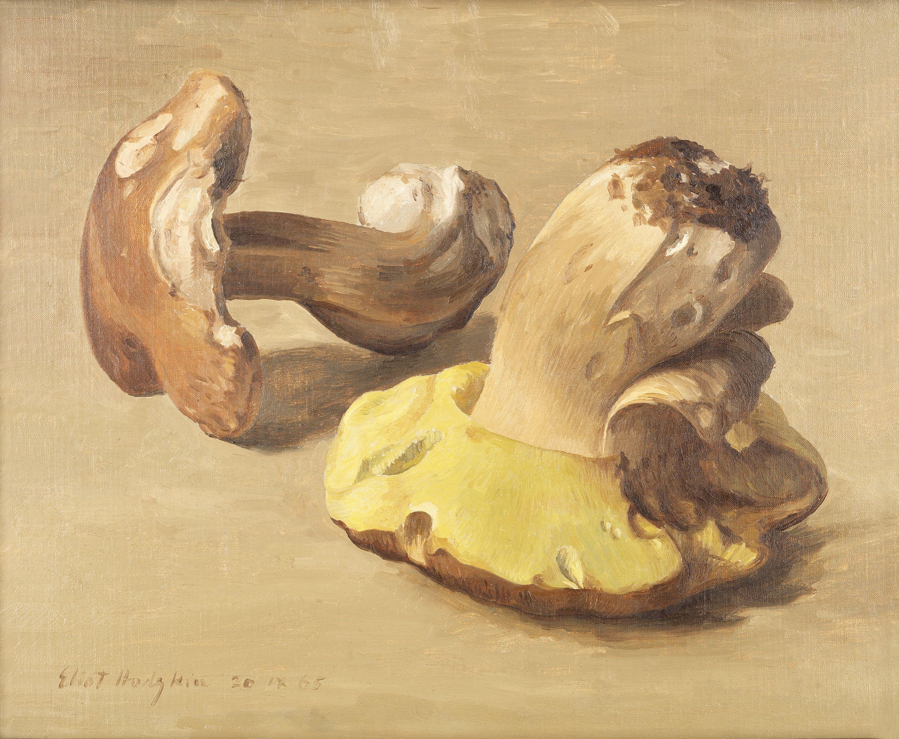 Eliot Hodgkin - Funghi No. 1