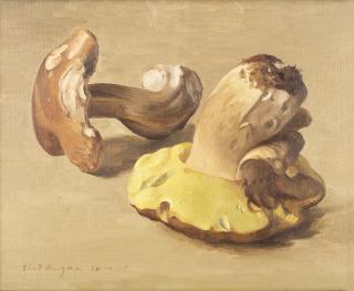 Eliot Hodgkin - Funghi No. 1