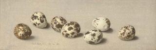 Eliot Hodgkin - Quail\'s Eggs