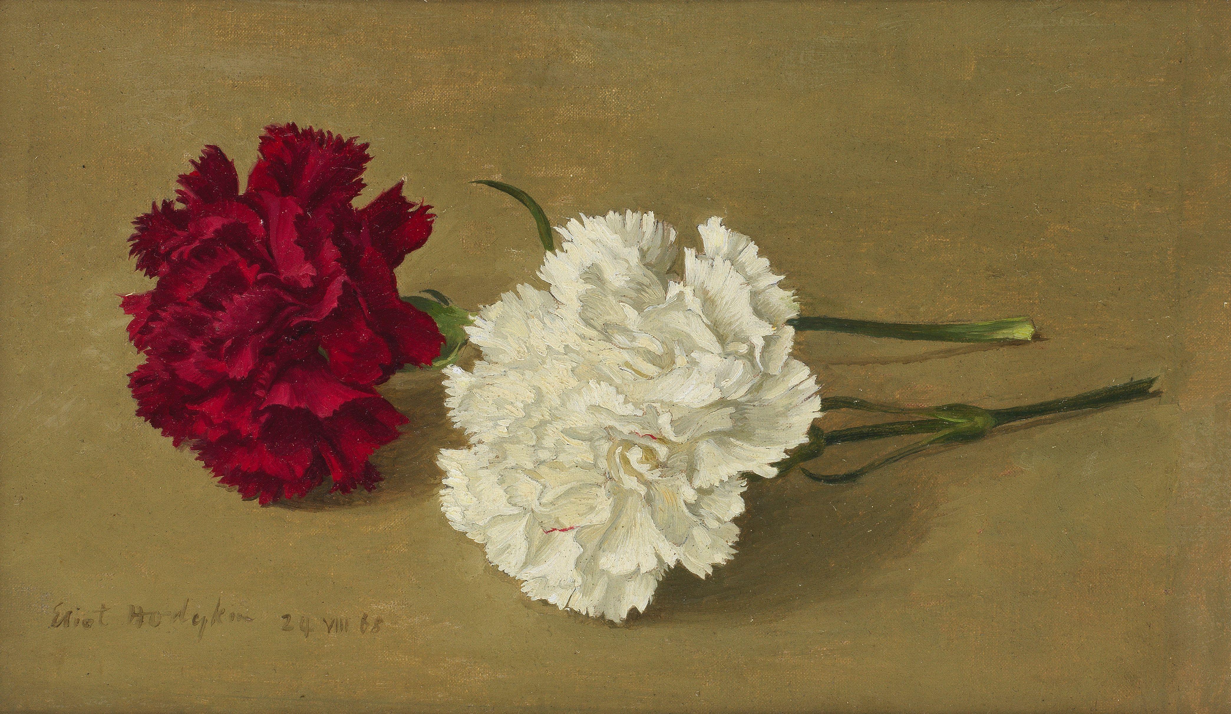 Eliot Hodgkin - Red and White Carnations (Lying Down)