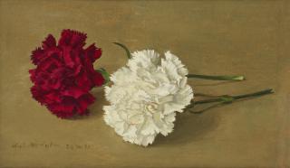 Eliot Hodgkin - Red and White Carnations (Lying Down)