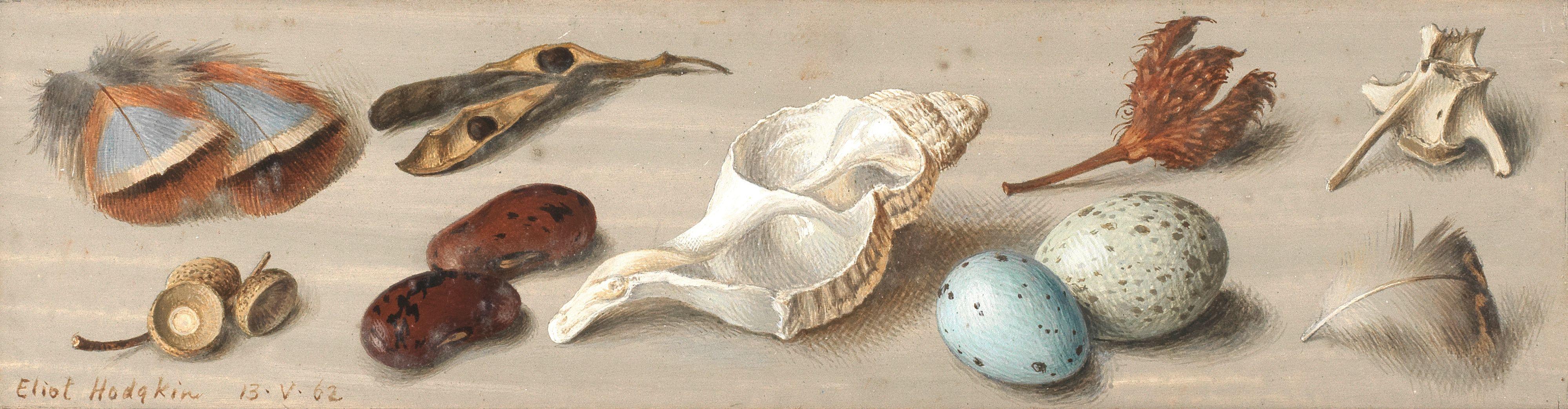 Eliot Hodgkin - Robert Melville\'s Picture