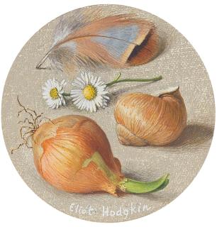 Eliot Hodgkin - Snail Shell, Onion, Feather, Daisies 9Cm (3 1/2 In) Diameter