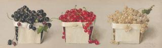 Eliot Hodgkin - Still life with black, red and white currants