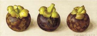 Eliot Hodgkin - Three Mangosteens