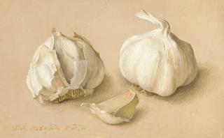 Eliot Hodgkin - Two Garlics