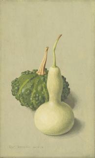 Eliot Hodgkin - Two Gourds