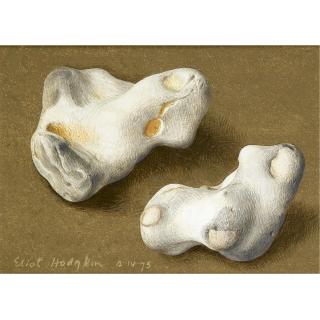 Eliot Hodgkin - Two Pebbles
