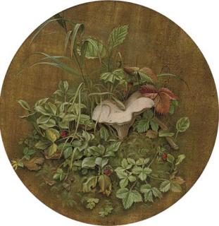 Eliot Hodgkin - Wild Strawberries