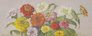 Eliot Hodgkin - Zinnias