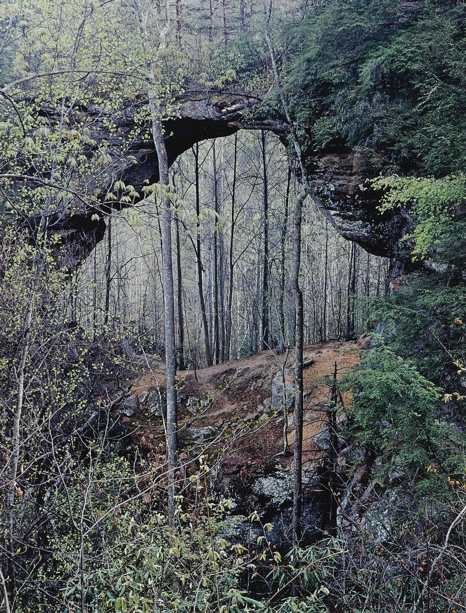 Eliot Porter - \'Certain Passages\'