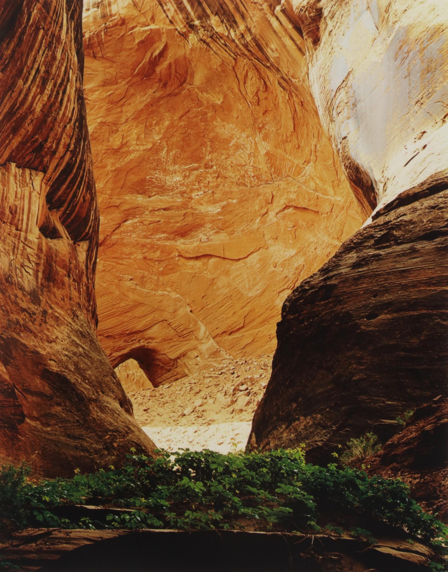 Eliot Porter - \'Glen Canyon\'