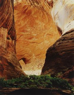 Eliot Porter - \'Glen Canyon\'