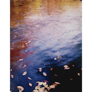 Eliot Porter - \'In Wildness\'