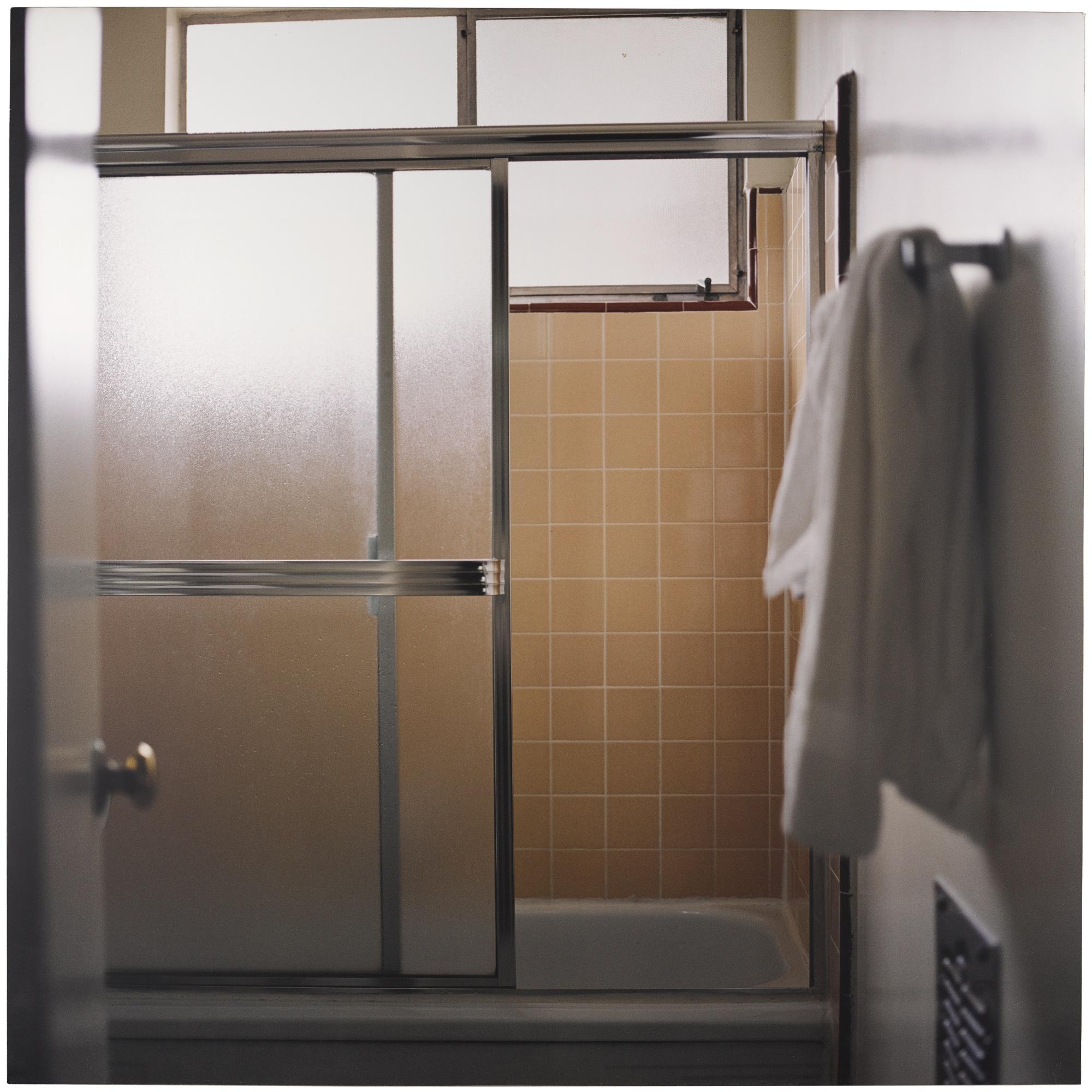 Elisa Sighicelli - Iceland: Bathroom