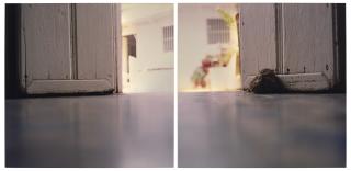 Elisa Sighicelli - Open Doors, 2002