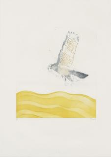 Elisabeth Frink - Four Plates, from: Birds of Prey