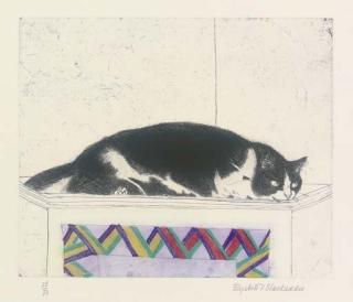 Elizabeth Blackadder RA - Fred on top of the cupboard, from Cats Portfolio