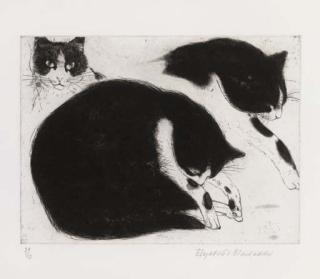 Elizabeth Blackadder RA - Three cat studies