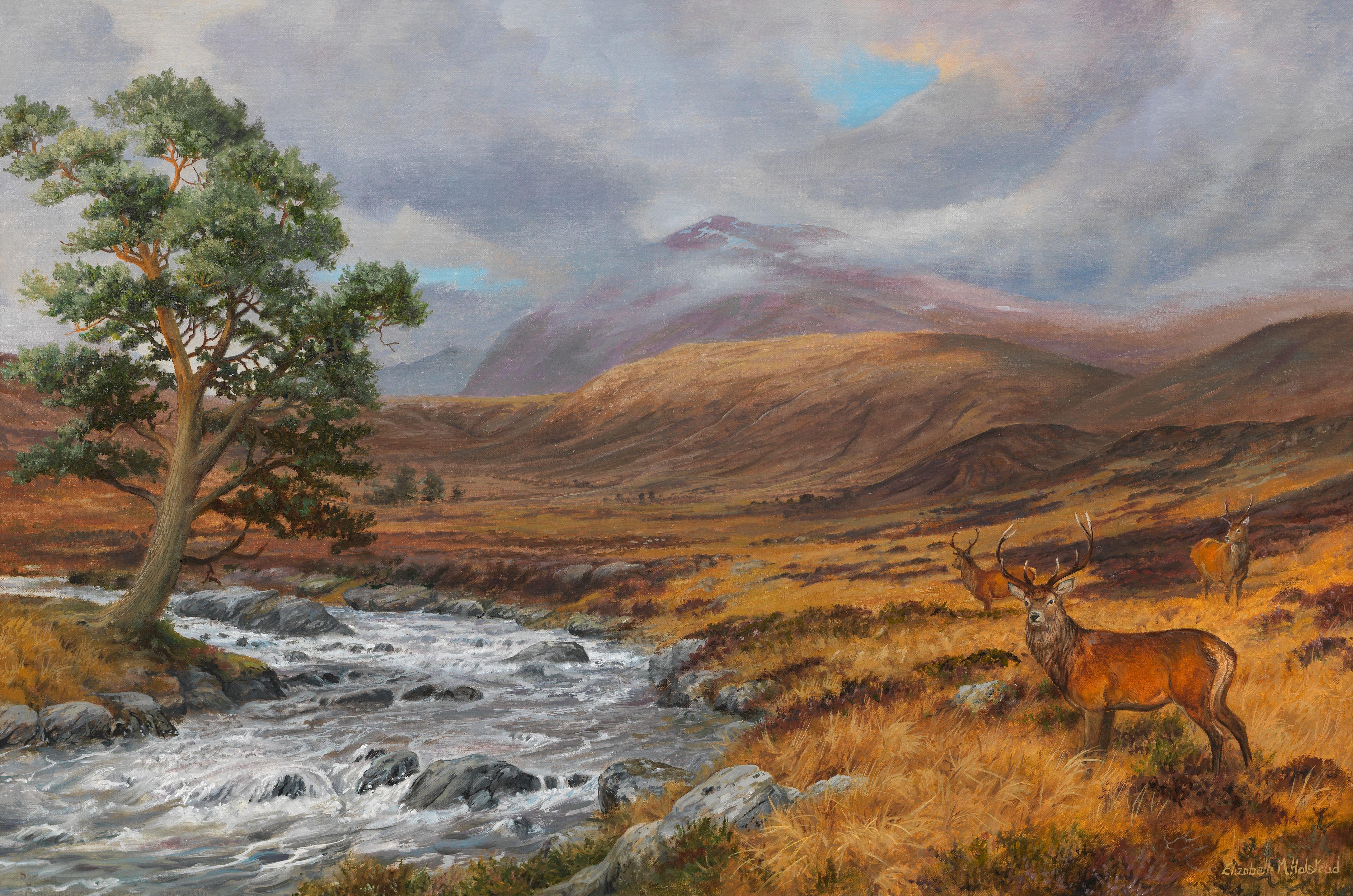 Elizabeth Halstead - Stags in the Glen