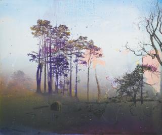 Elizabeth Magill - Heartland
