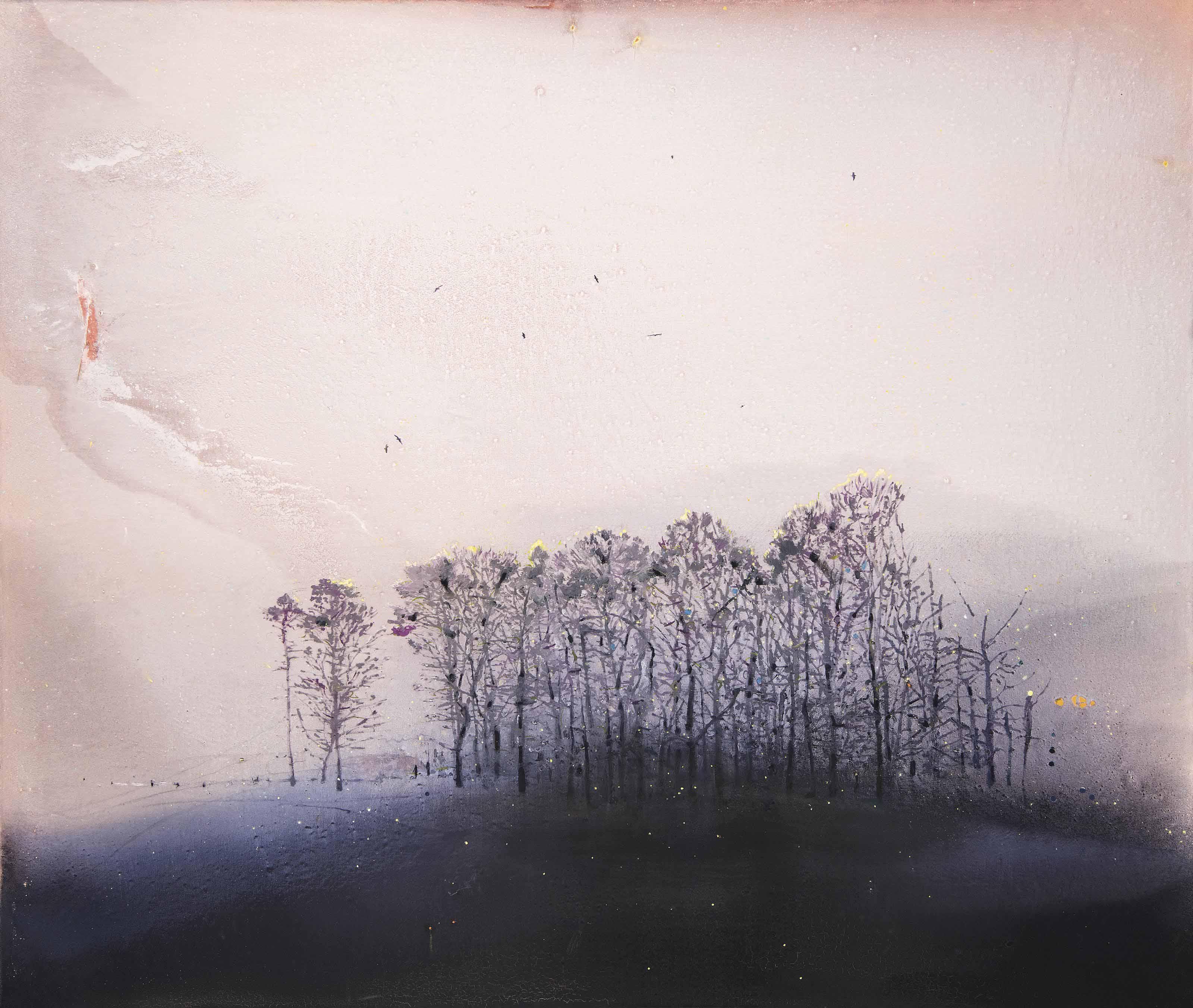Elizabeth Magill - Land of the Dusky Sow