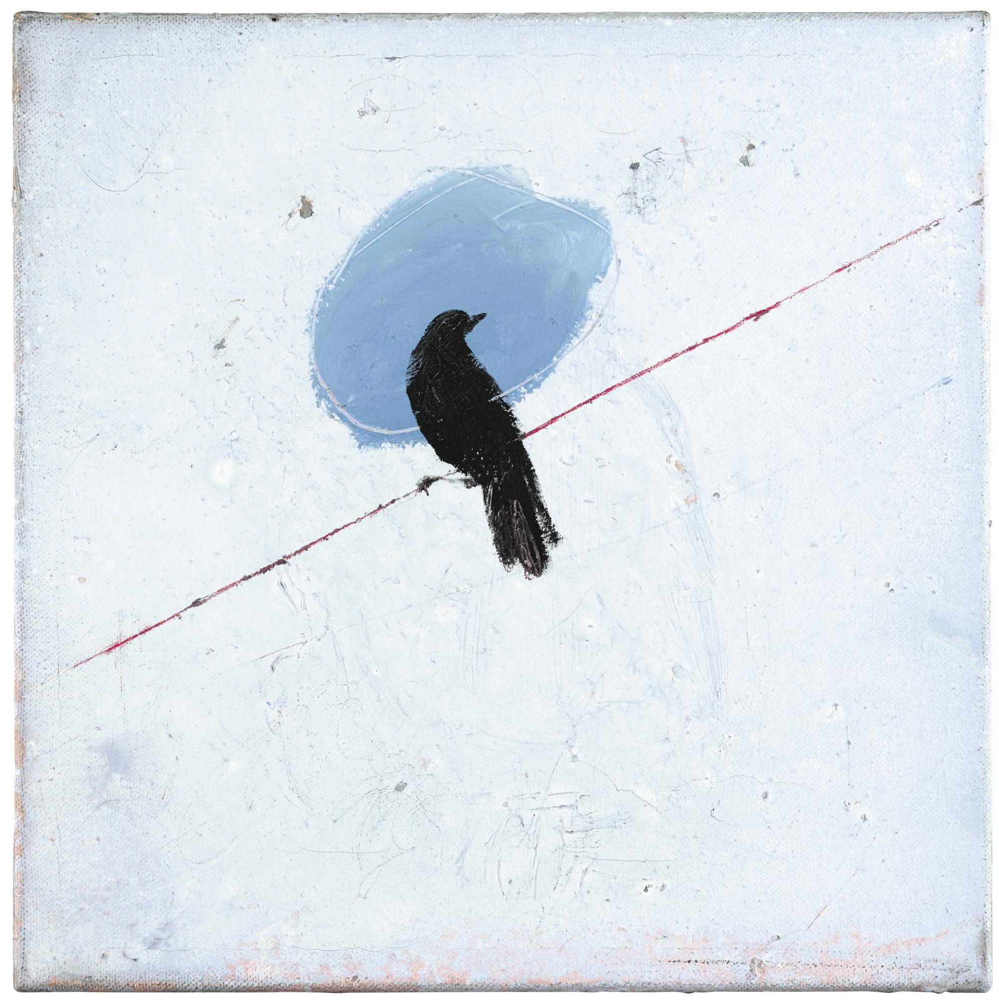 Elizabeth Magill - Like A Bird