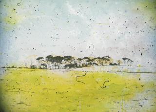Elizabeth Magill - Parlous Land