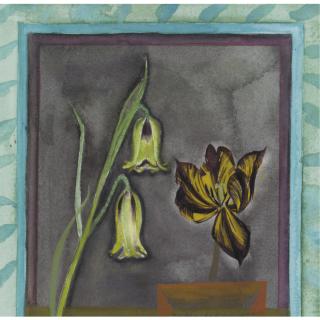 Elizabeth Violet Blackadder, R.S.A., R.A. - Fritillary And Tulip