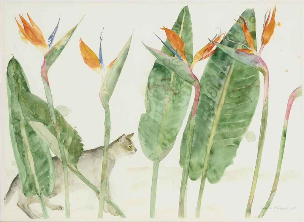 Elizabeth Violet Blackadder - Strelitzia and Cat