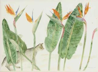 Elizabeth Violet Blackadder - Strelitzia and Cat