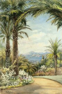 Ella Mary du Cane - Palms above the Mediterranean coast