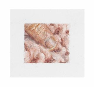 Ellen Altfest - Finger